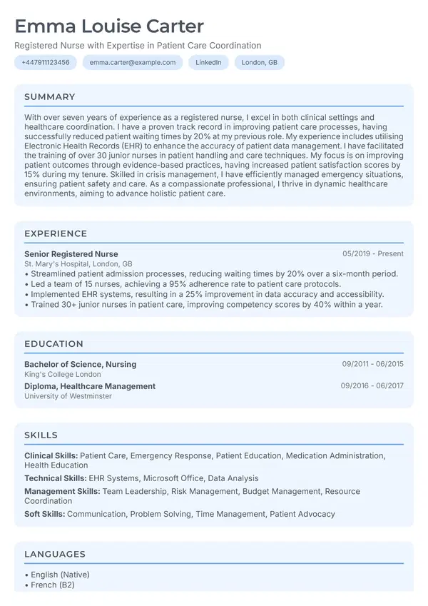 CV Template Preview - Soft Care