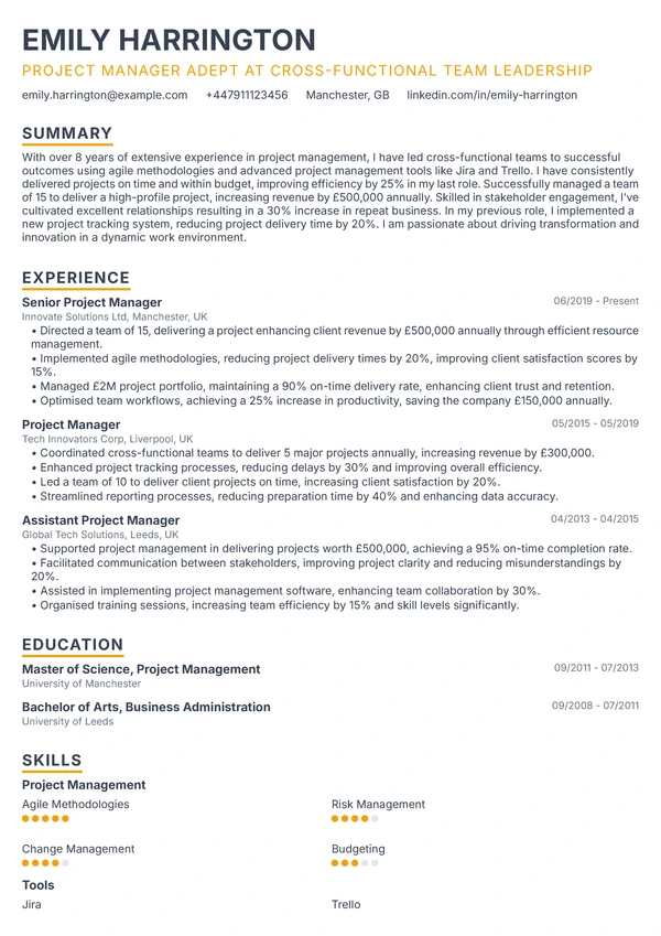 Elegant Executive - Project Director
