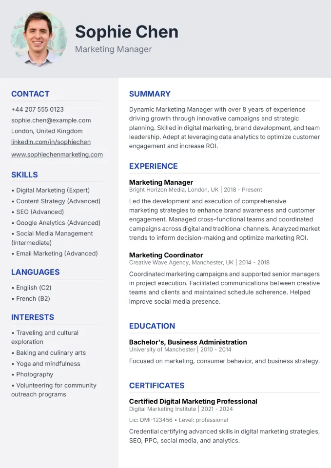 CV Template Preview - Standard Professional